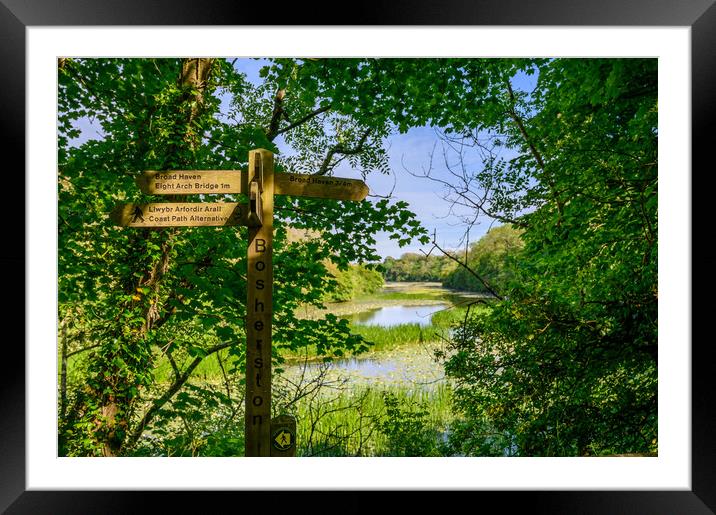 Golden Hour Magic at Bosherston Lily Ponds Framed Mounted Print by Tracey Turner