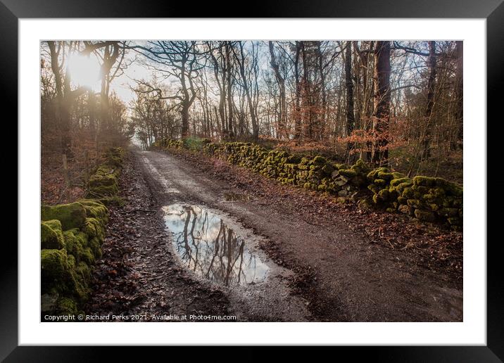 The Enchanted Forest - Otley Chevin Framed Mounted Print by Richard Perks