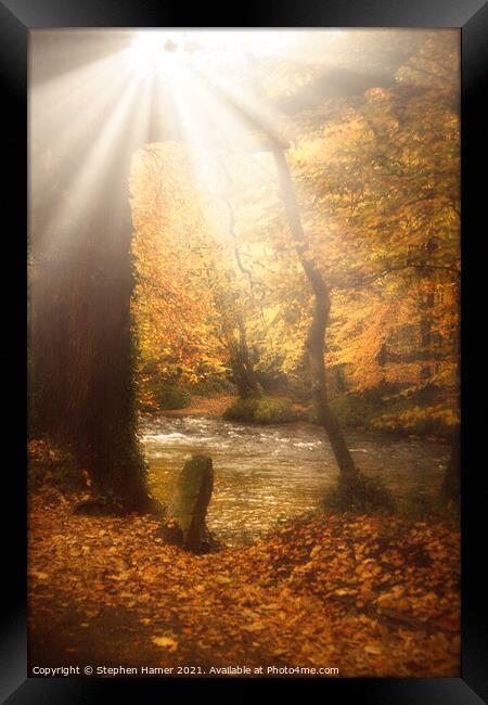 Autumn Light Framed Print by Stephen Hamer