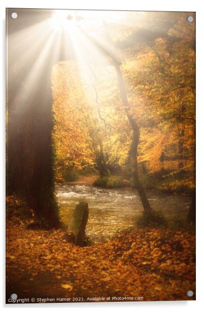 Autumn Light Acrylic by Stephen Hamer