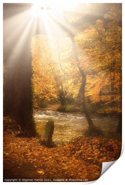 Autumn Light Print by Stephen Hamer