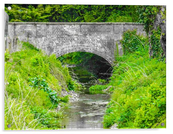 The Bridge Acrylic by Simon Hill