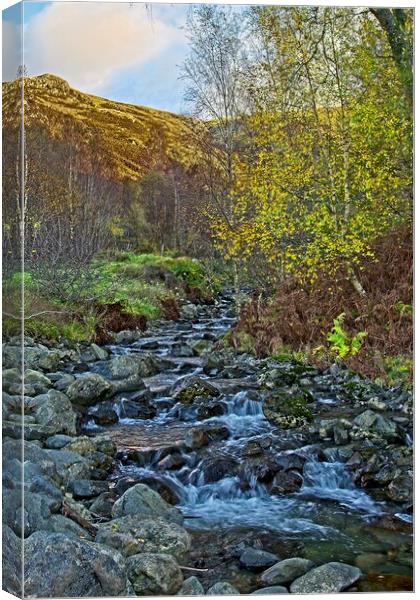 Autumn Colours and Helvellyn Gill Canvas Print by Martyn Arnold