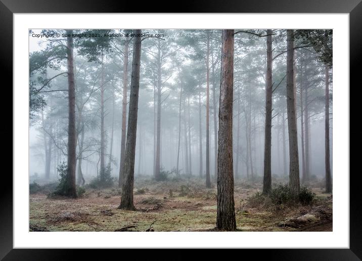 Misty Forest Framed Mounted Print by Sue Knight