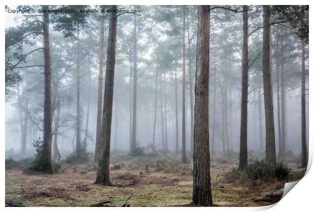 Misty Forest Print by Sue Knight