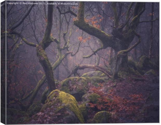 Padley Gorge Canvas Print by Paul Andrews