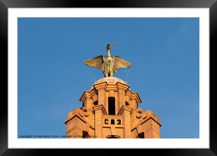 Liverpool Liver Bird Framed Mounted Print by Kay Roxby