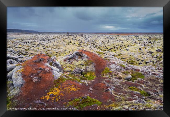 Moss-covered Icelandic lava field Framed Print by Paulo Rocha
