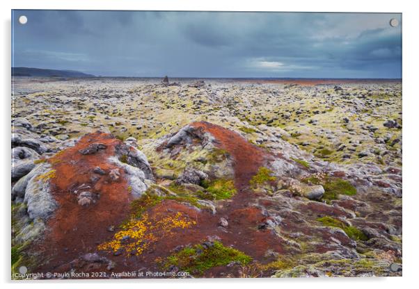 Moss-covered Icelandic lava field Acrylic by Paulo Rocha