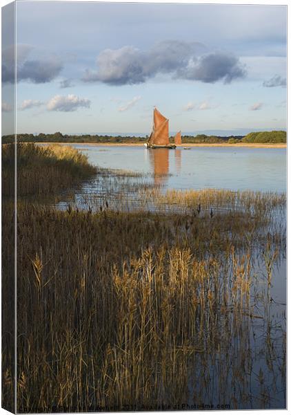 Snape Maltings Wherry in evening light Canvas Print by Stephen Wakefield
