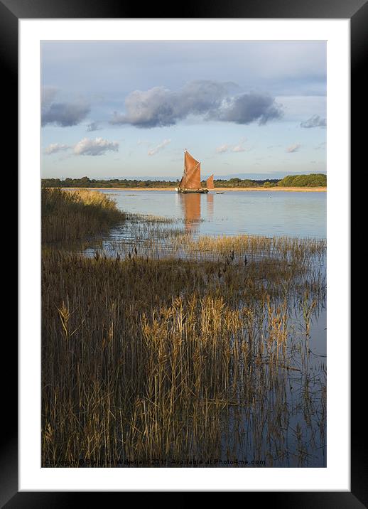 Snape Maltings Wherry in evening light Framed Mounted Print by Stephen Wakefield
