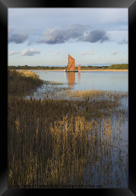 Snape Maltings Wherry in evening light Framed Print by Stephen Wakefield