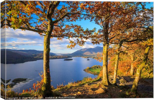 View from Surprise View across Derwent Water Lake  Canvas Print by Chris Warren