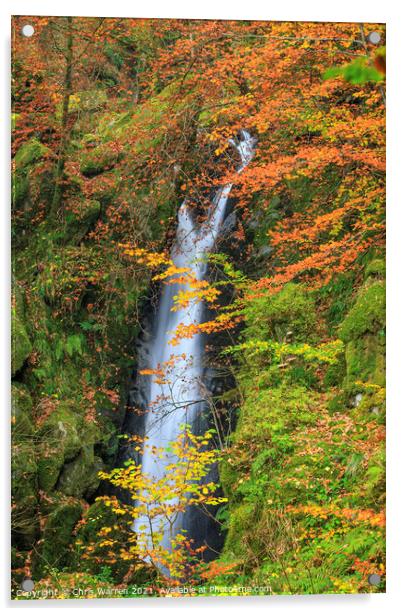 Stock Ghyll Force Waterfall Lake District in Autum Acrylic by Chris Warren