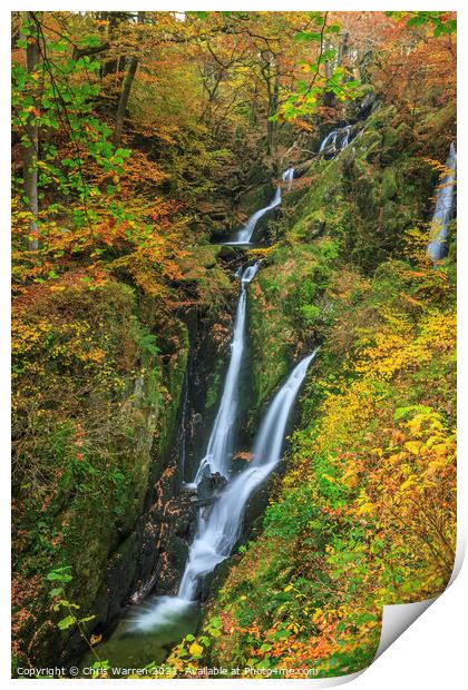 Stock Ghyll Force Lake District in Autumn colour Print by Chris Warren