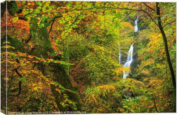 Stock Ghyll Force Lake District in Autumn colour Canvas Print by Chris Warren