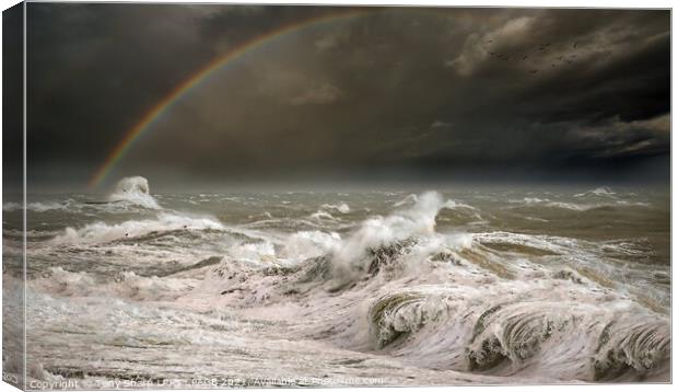 STORM CONDITIONS Canvas Print by Tony Sharp LRPS CPAGB