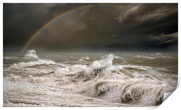STORM CONDITIONS Print by Tony Sharp LRPS CPAGB