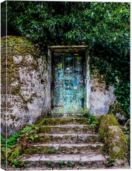 Door to your Heart Canvas Print by Dominic Shaw-McIver