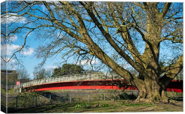 Footbridge into Bute Park Cardiff over the River T Canvas Print by Nick Jenkins