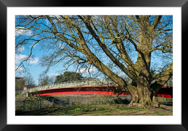 Footbridge into Bute Park Cardiff over the River T Framed Mounted Print by Nick Jenkins