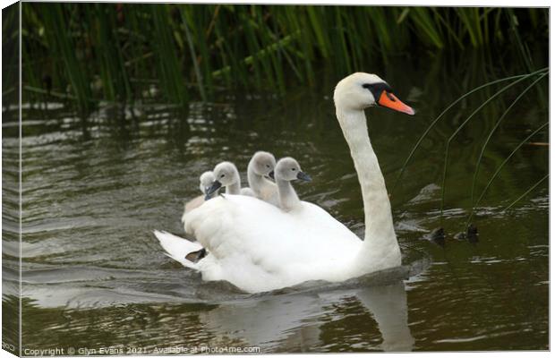 Hitching a ride. Canvas Print by Glyn Evans