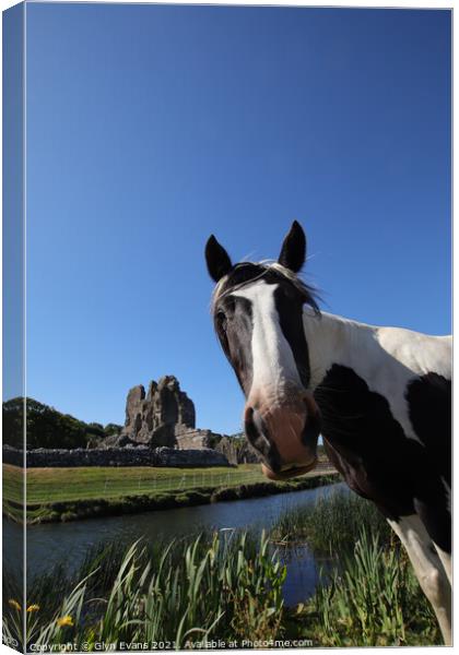 Photobombing Ogmore Castle. Canvas Print by Glyn Evans