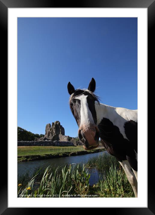 Photobombing Ogmore Castle. Framed Mounted Print by Glyn Evans