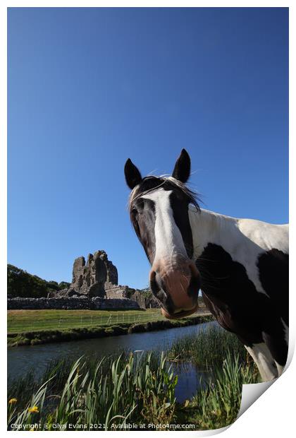 Photobombing Ogmore Castle. Print by Glyn Evans