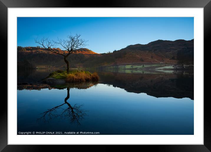 Rydal water lone tree reflection in the lake distr Framed Mounted Print by PHILIP CHALK