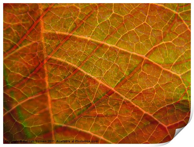 Leafy layers Print by Hannah Scriven