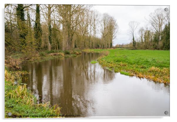 River Bure in Buxton, Norfolk Acrylic by Chris Yaxley