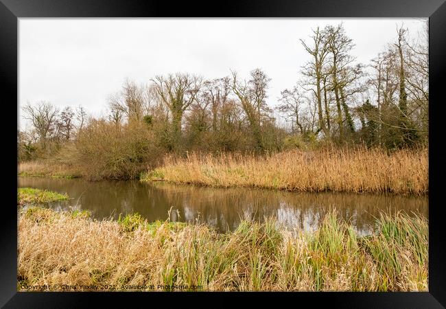 River Bure in Buxton, Norfolk Framed Print by Chris Yaxley