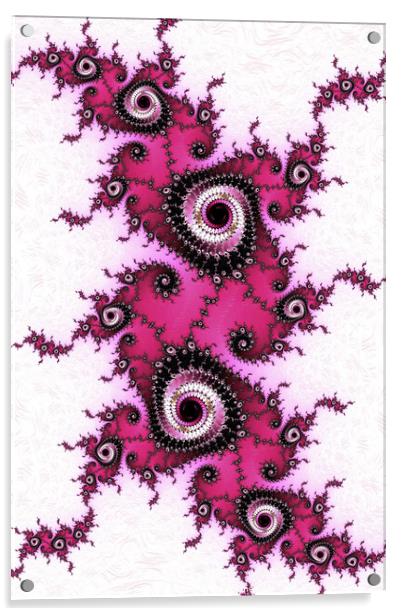Pink Spiral Fractals  Acrylic by Vickie Fiveash