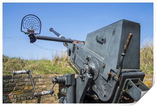 Flak 28 Anti Aircraft Cannon Print by Arterra 