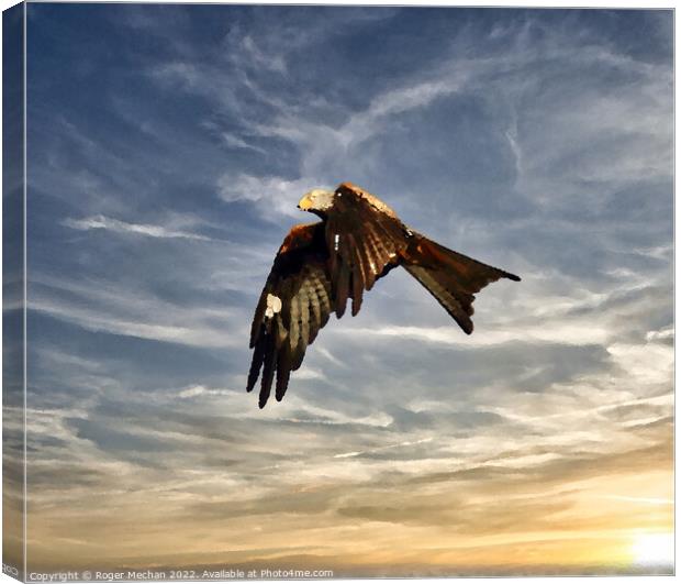 Graceful Red Kite Soaring in the Sky Canvas Print by Roger Mechan