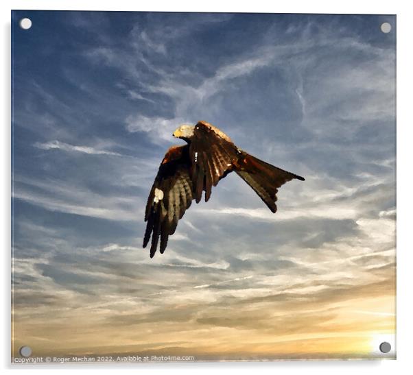 Graceful Red Kite Soaring in the Sky Acrylic by Roger Mechan