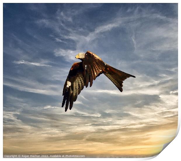 Graceful Red Kite Soaring in the Sky Print by Roger Mechan