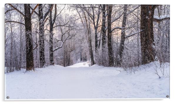 Winter snowy landscape with trees covered with frost and snow Acrylic by Dobrydnev Sergei