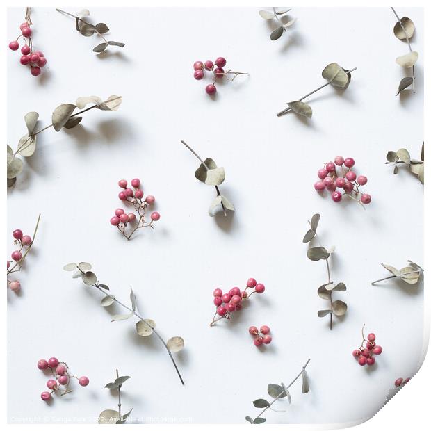 Floral pattern eucalyptus and fruit on white background Print by Sanga Park