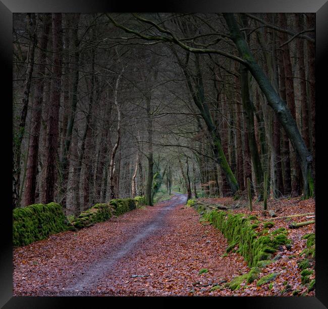 Track in a wood Framed Print by Gavin Duxbury