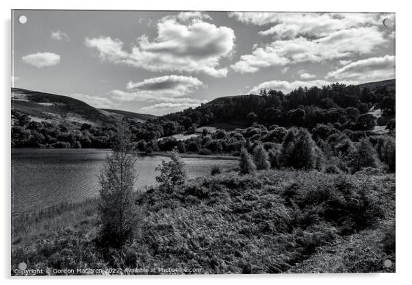 Garreg Ddu reservoir, Black and White Acrylic by Gordon Maclaren