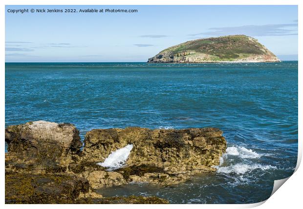 Puffin Island off Penmon Point Anglesey Print by Nick Jenkins