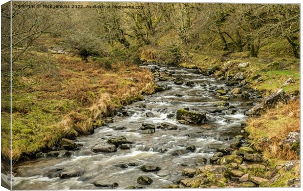 The River Caerfanell in the Central Beacons Canvas Print by Nick Jenkins