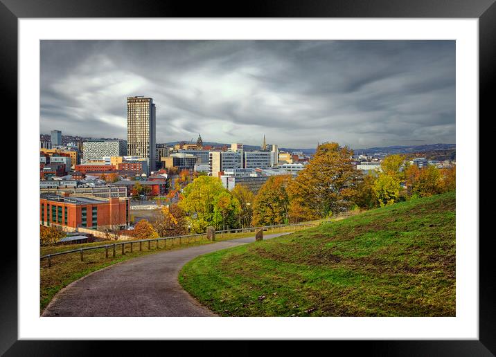 Sheffield Skyline in Autumn Framed Mounted Print by Darren Galpin