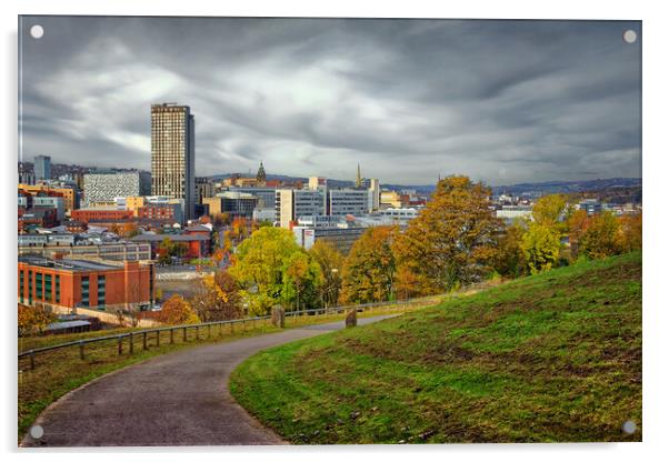 Sheffield Skyline in Autumn Acrylic by Darren Galpin