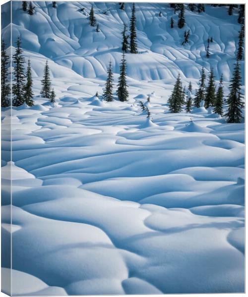 Winter Wonderland Canvas Print by Amy Rogers