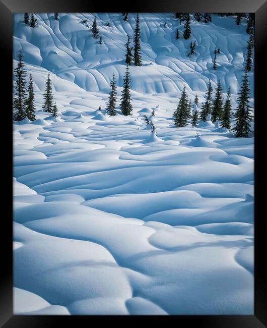 Winter Wonderland Framed Print by Amy Rogers