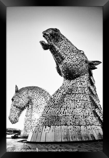 Black and white close up of The Kelpies  Framed Print by Ann Biddlecombe