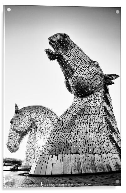 Black and white close up of The Kelpies  Acrylic by Ann Biddlecombe